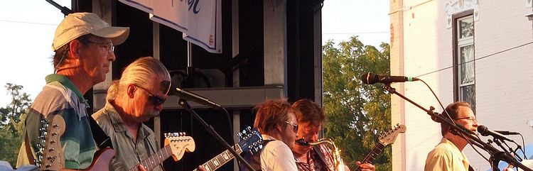 Backwoods Band, 2012 Mason Sun Dried Music Fest, Mason, Michigan, 25 August 2012