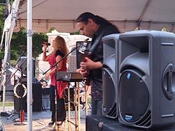 Full House Band, 2012 Mason Sun Dried Music Fest, Mason, Michigan, 24 August 2012