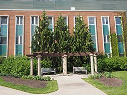 MSU Horticulture Gardens<br>East Lansing, Michigan<br>7 May 2015, Olympus OM-D E-M1 with Olympus 12-40/2.8 lens